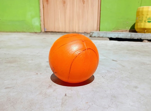 员会选择低 员会选择低