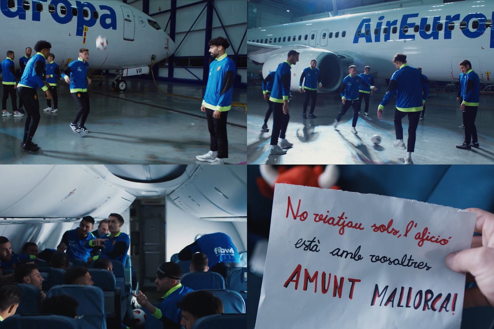 员与球迷的 员与球迷的