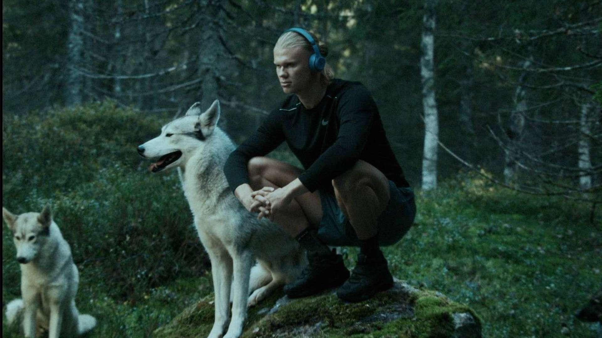 身边的人来 身边的人来