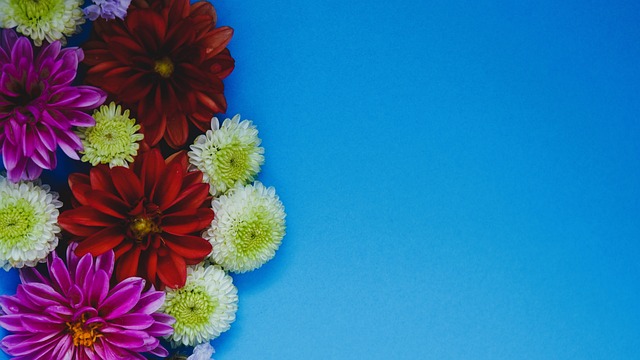 过整体协作 过整体协作