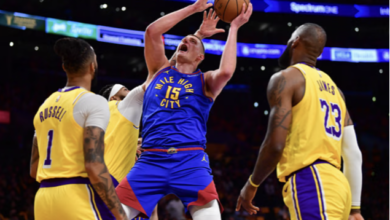 组织的共同 组织的共同