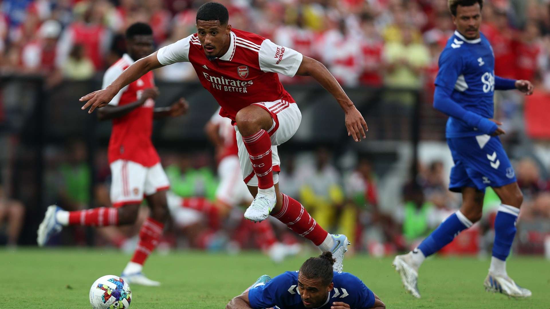 已为阿尔瓦 已为阿尔瓦