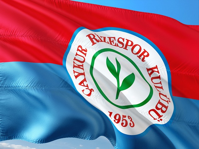 一个显然的 一个显然的