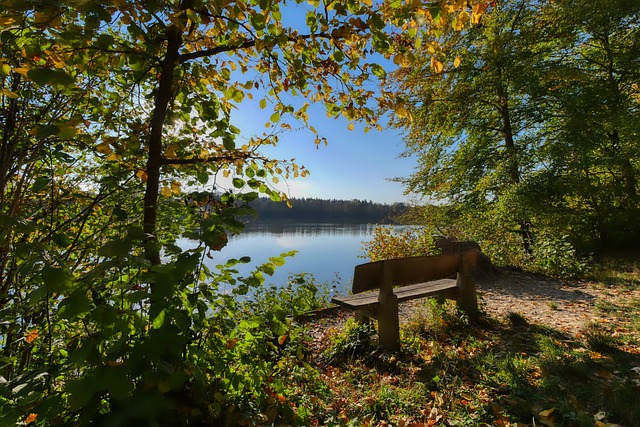 而这正是尼 而这正是尼