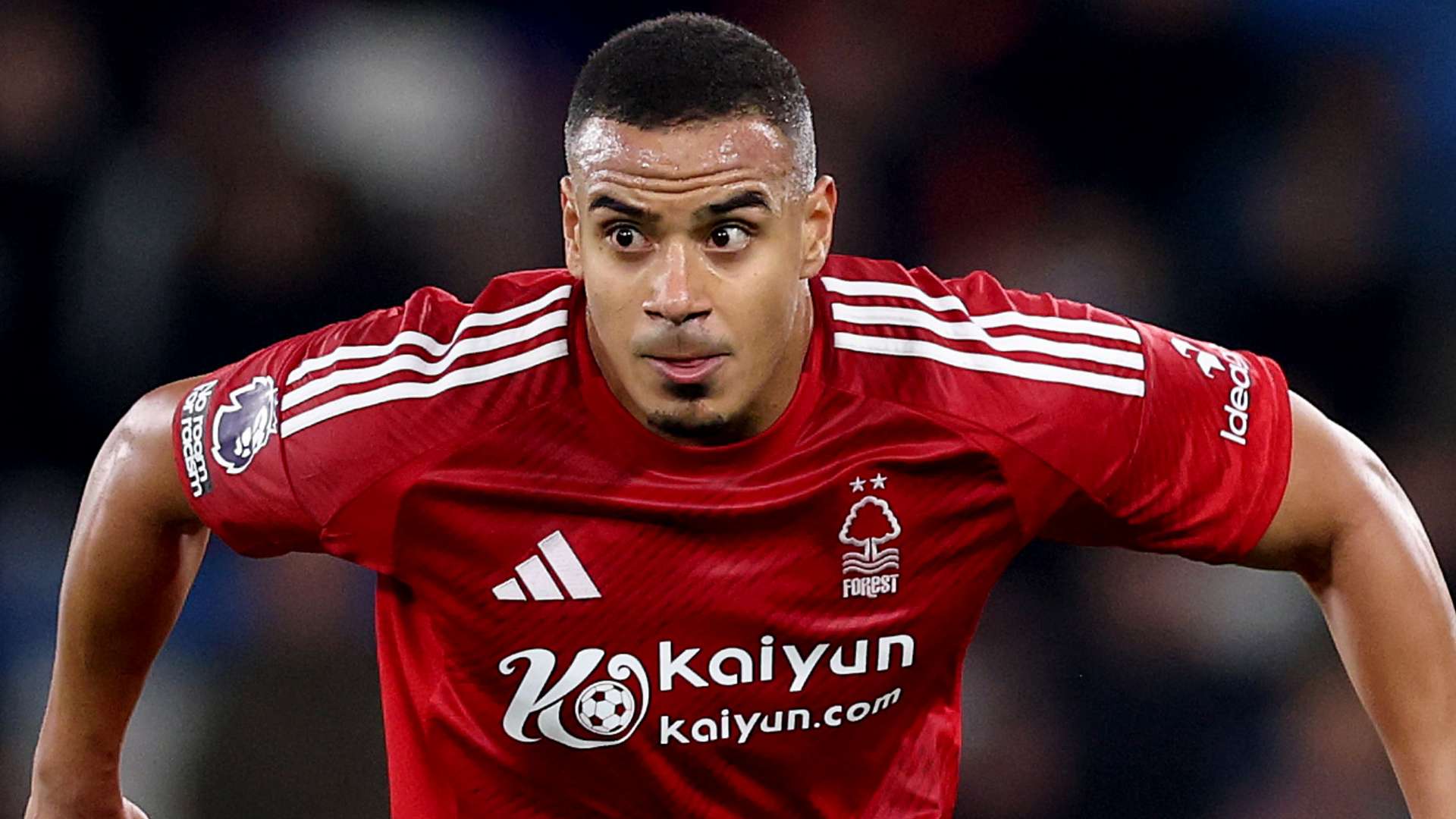 们的行动注 们的行动注