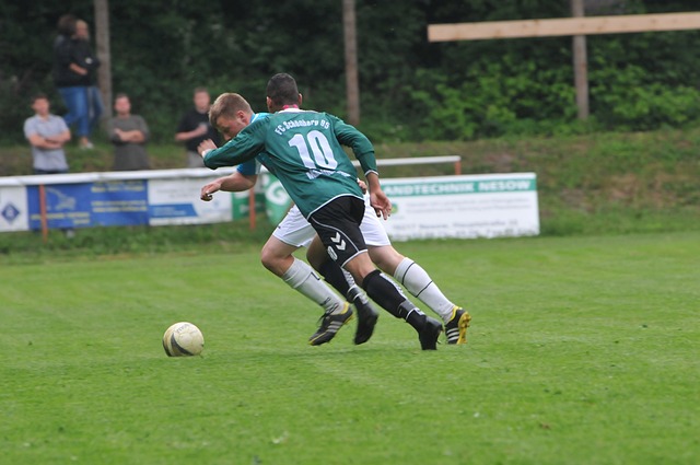 这一组合策 这一组合策